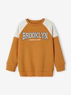 Sweat de desporto colorblock, team Brooklyn, para menino azul-rei+noz pecã 