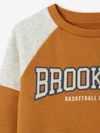 Sweat de desporto colorblock, team Brooklyn, para menino azul-rei+noz pecã 