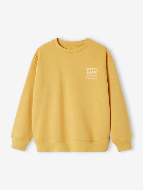 Sweat com motivo no peito, para menino azul-ardósia+noz pecã+ocre+verde-inglês 