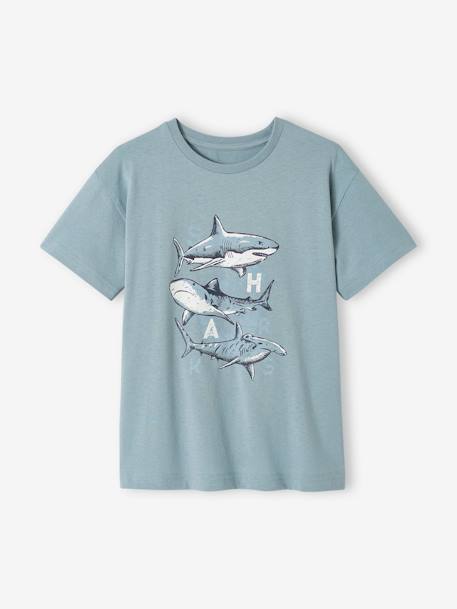 T-shirt com animal, para menino antracite+azul-acinzentado+cru 