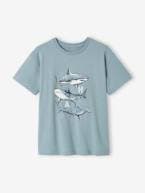 T-shirt com animal, para menino antracite+azul-acinzentado+cru 