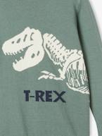 Camisola lúdica dinossauro, para menino verde-salva 