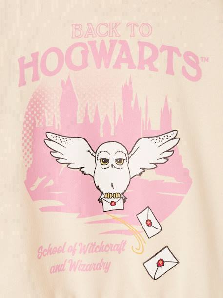 Sweat Harry Potter®, para criança cru 