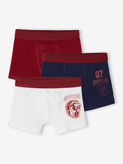 Menino 2-14 anos-Roupa interior-Slips, Boxers -Lote de 3 boxers Harry Potter®, para criança