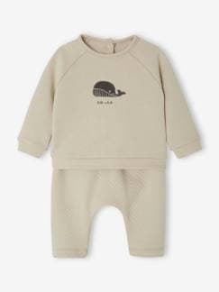 Bebé 0-36 meses-Conjunto sweat e calças, para bebé