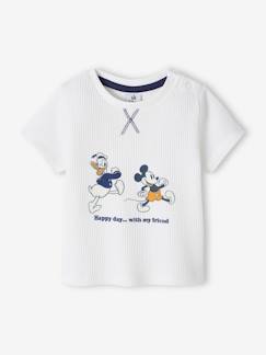 Bebé 0-36 meses-T-shirts-T-shirts-T-shirt aos favos, Disney® Mickey, para bebé