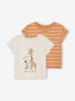 Bebé 0-36 meses-T-shirts-Lote de 2 t-shirts basics de mangas curtas, para bebé