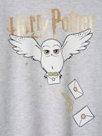 Vestido Harry Potter® estilo sweat cinza mesclado 