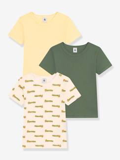 Menino 2-14 anos-T-shirts, polos-Lote de 3 t-shirts de mangas curtas, da PETIT BATEAU