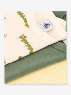 Lote de 3 t-shirts de mangas curtas, da PETIT BATEAU verde 