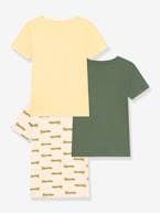 Lote de 3 t-shirts de mangas curtas, da PETIT BATEAU verde 