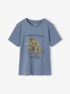 Menino 2-14 anos-T-shirts, polos-T-shirts-T-shirt dinossauro, para menino