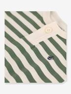 T-shirt às riscas, em jersey, para criança, da PETIT BATEAU risas verde 