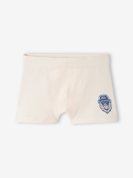 Lote de 7 boxers stretch, urso, em algodão bio, para menino azul-rei 