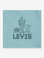 T-shirt gráfica, para criança, da Levi's® verde amêndoa 