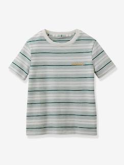 Menino 2-14 anos-T-shirts, polos-T-shirt da CYRILLUS, às riscas, em algodão bio, para menino