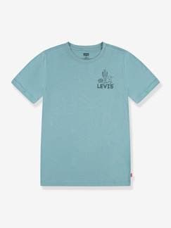 Menino 2-14 anos-T-shirts, polos-T-shirt gráfica, para criança, da Levi's®