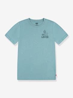 Menino 2-14 anos-T-shirts, polos-T-shirts-T-shirt gráfica, para criança, da Levi's®