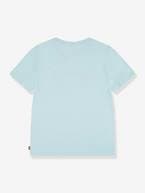 T-shirt Batwing da Levi's® verde-menta 