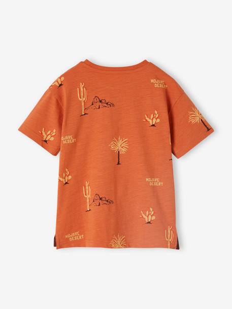 T-shirt deserto, para menino alperce 