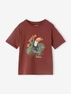 T-shirt com tucano, para menino bordeaux 