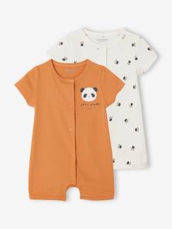 Toda a Seleção-Bebé 0-36 meses-Pijamas, babygrows-Lote de 2 macacões para recém-nascido