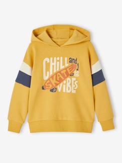 Ecorresponsáveis-Menino 2-14 anos-Camisolas, casacos de malha, sweats-Sweat com capuz e motivo gráfico, mangas colorblock, para menino