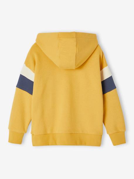 Sweat com capuz e motivo gráfico, mangas colorblock, para menino malva+ocre 