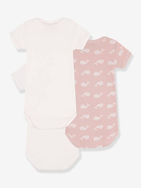 Lote de 3 bodies baleias, de mangas curtas, em algodão bio, da Petit Bateau rosa-pálido 