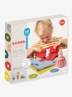 Brinquedos-Jogos educativos-Jogo das escondidas - TAF TOYS