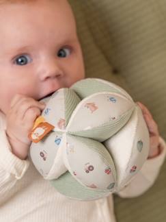 Brinquedos-Bola sensorial - LITTLE DUTCH