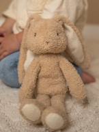 Coelho peluche - Baby Bunny - LITTLE DUTCH cru 