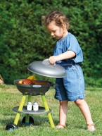 Barbecue a carvão - ECOIFFIER multicolor 