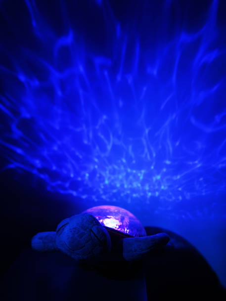 Luz de presença recarregável, CLOUD B Tranquil Turtle azul+rosa-blush+verde+violeta 