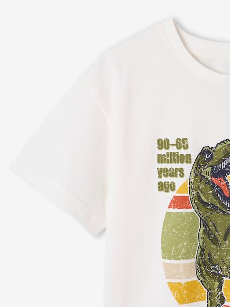 T-shirt dinossauro, para menino cru 