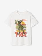 T-shirt dinossauro, para menino cru 