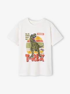 Toda a Seleção-Menino 2-14 anos-T-shirts, polos-T-shirt dinossauro, para menino