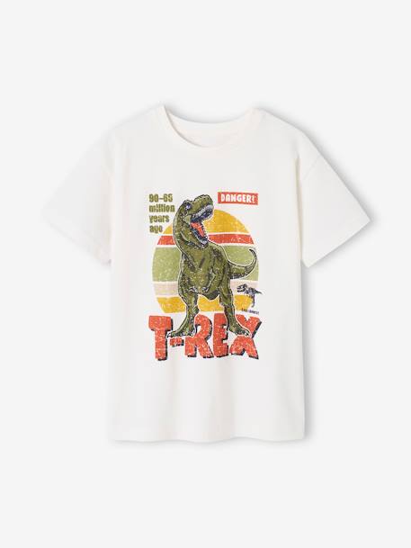 T-shirt dinossauro, para menino cru 