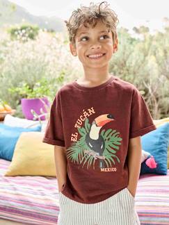 Menino 2-14 anos-T-shirt com tucano, para menino