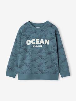 Menino 2-14 anos-Camisola estilo sweat, estampada, para menino