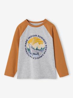 Menino 2-14 anos-Camisola com motivo gráfico e mangas raglan de cor, para menino