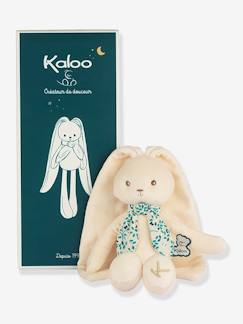 Brinquedos-Primeira idade-Bonecos-doudou, peluches e brinquedos em tecido-Boneco coelho - KALOO