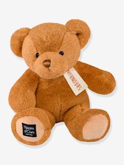 Brinquedos-Primeira idade-Bonecos-doudou, peluches e brinquedos em tecido-Peluche, le nounours - HISTOIRE D'OURS