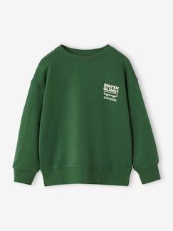 Menino 2-14 anos-Camisolas, casacos de malha, sweats-Sweatshirts-Sweat com motivo no peito, para menino