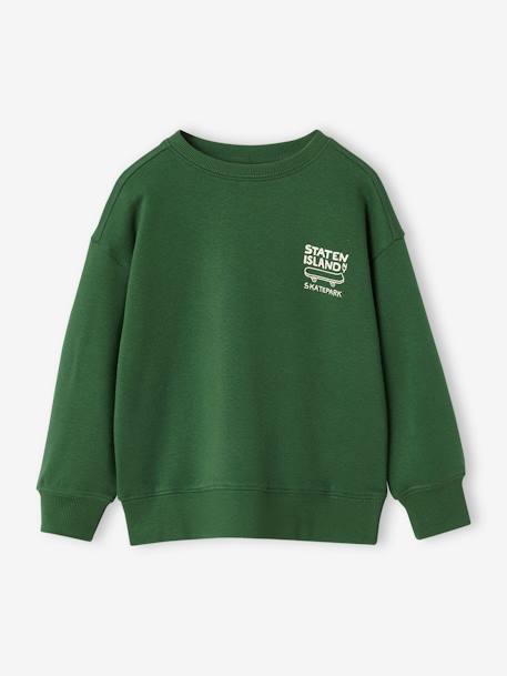 Sweat com motivo no peito, para menino azul-ardósia+noz pecã+ocre+verde-inglês 