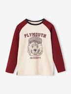 Camisola com urso, mangas raglan a contrastar bordeaux 