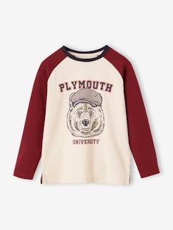 Menino 2-14 anos-Camisola com urso, mangas raglan a contrastar