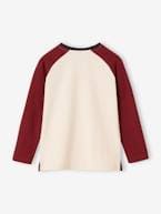 Camisola com urso, mangas raglan a contrastar bordeaux 