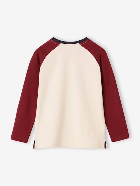 Camisola com urso, mangas raglan a contrastar bordeaux 