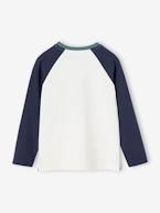 Camisola de desporto com guaxinim, mangas raglan a contrastar, para menino cru 